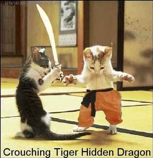 Crouching tiger, hidden dragon