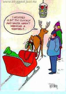 Stop gently Rudolph!