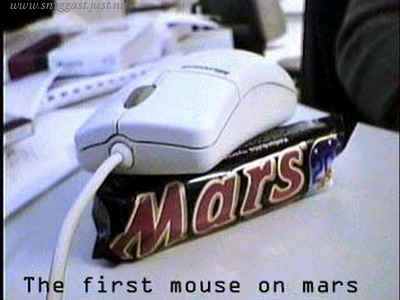 hehe First mouse on mars