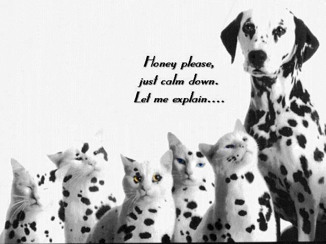 hehe dog_spots