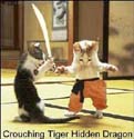 Crouching tiger, hidden dragon